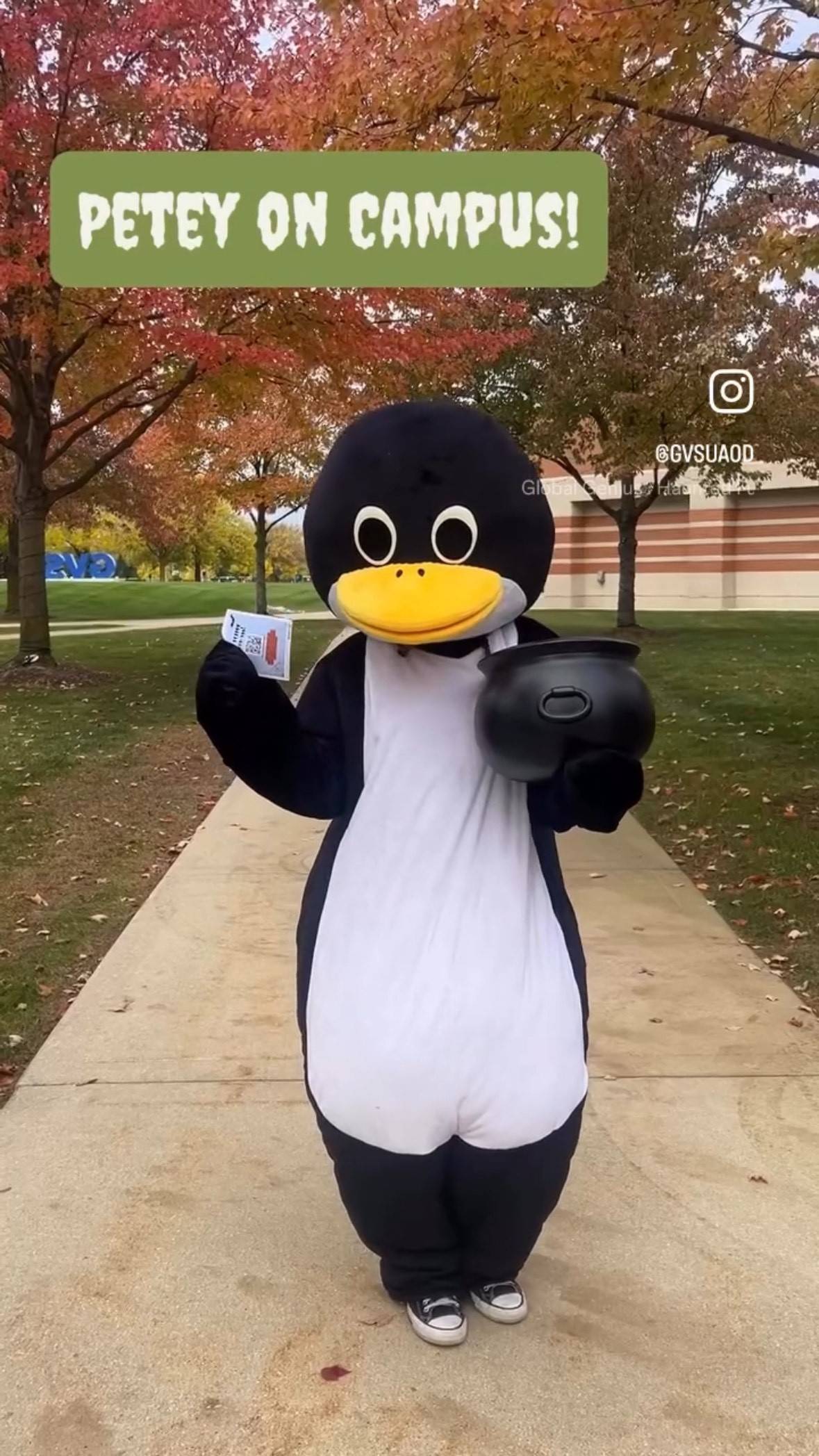 Petey on Campus!